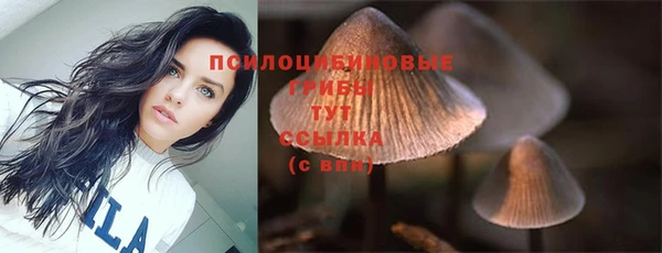 ПСИЛОЦИБИНОВЫЕ ГРИБЫ Алексеевка