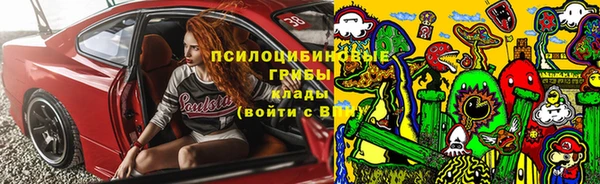 ПСИЛОЦИБИНОВЫЕ ГРИБЫ Алексеевка
