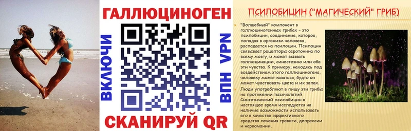 где продают наркотики  Ясногорск  кракен   Псилоцибиновые грибы мицелий 